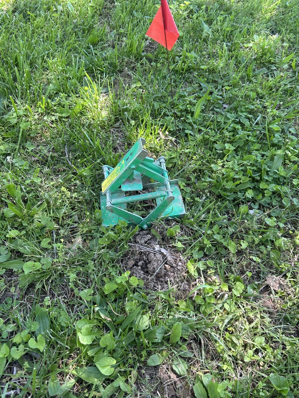 A Mole Patrol trap set over a fresh molehill, marked with a flag